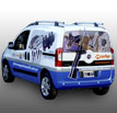 Diseno, cortes en vinilo, impresiones troqueladas e instalaci�n de ploteado vehicular